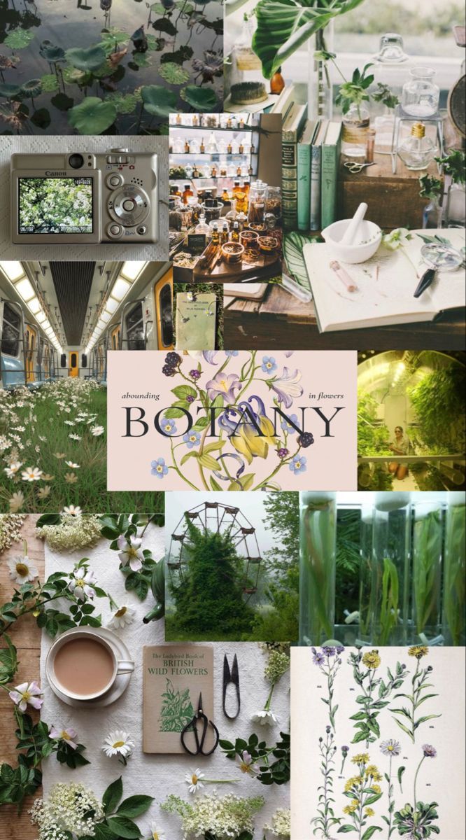 botany aesthetic