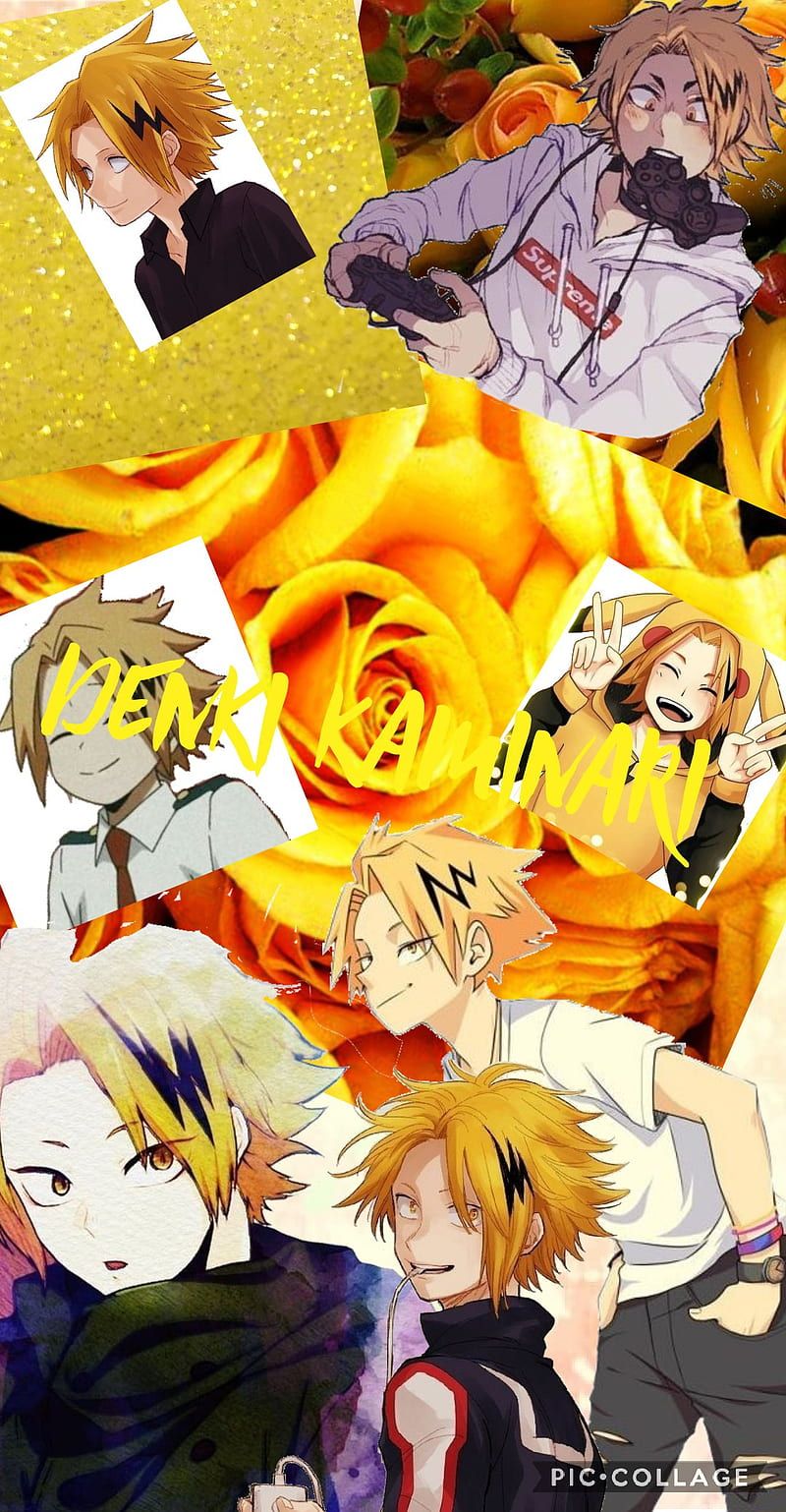 Denki kaminari, bnha, mah, HD phone