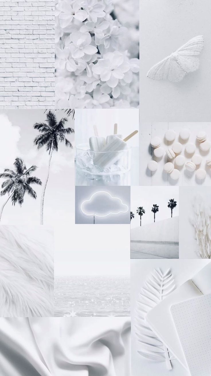 White aesthetic wallpaper