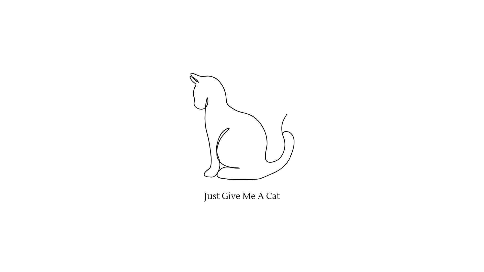 Cat Drawing In Cute White Aesthetic