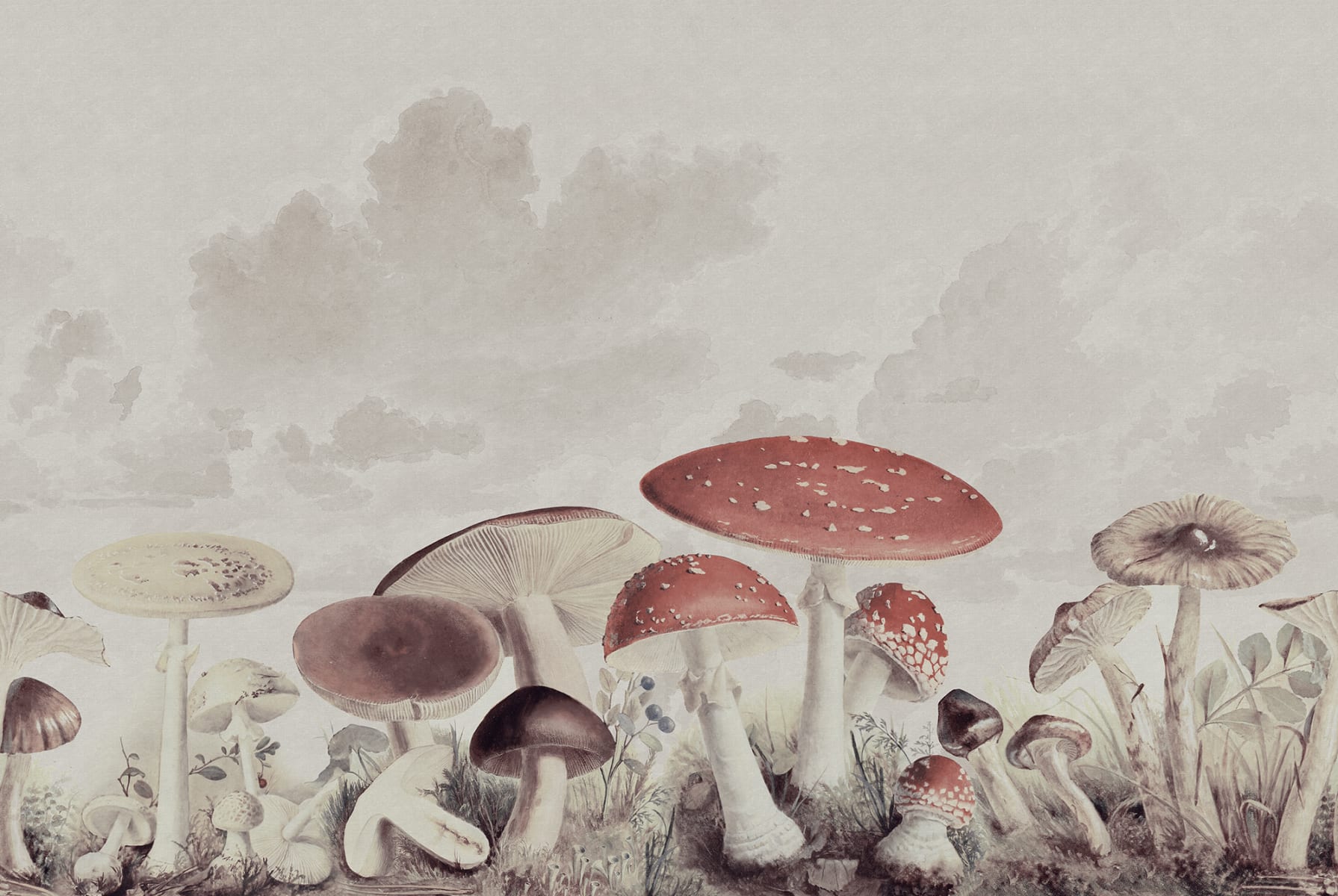 Mushrooms Vintage