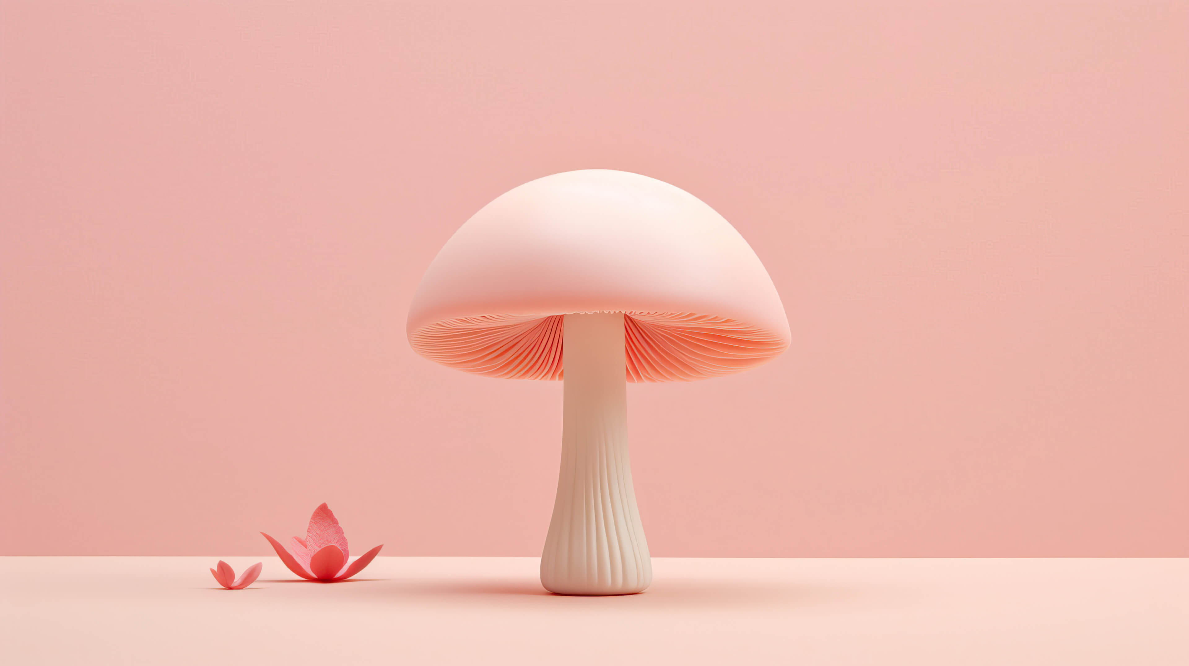 Cute Mushroom Wallpaper, Free, 4k