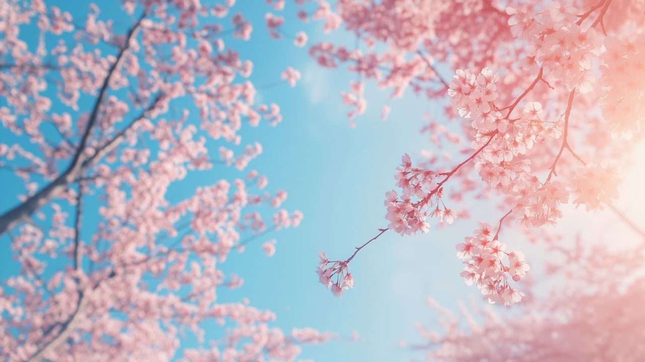 Trees Wallpaper, Spring