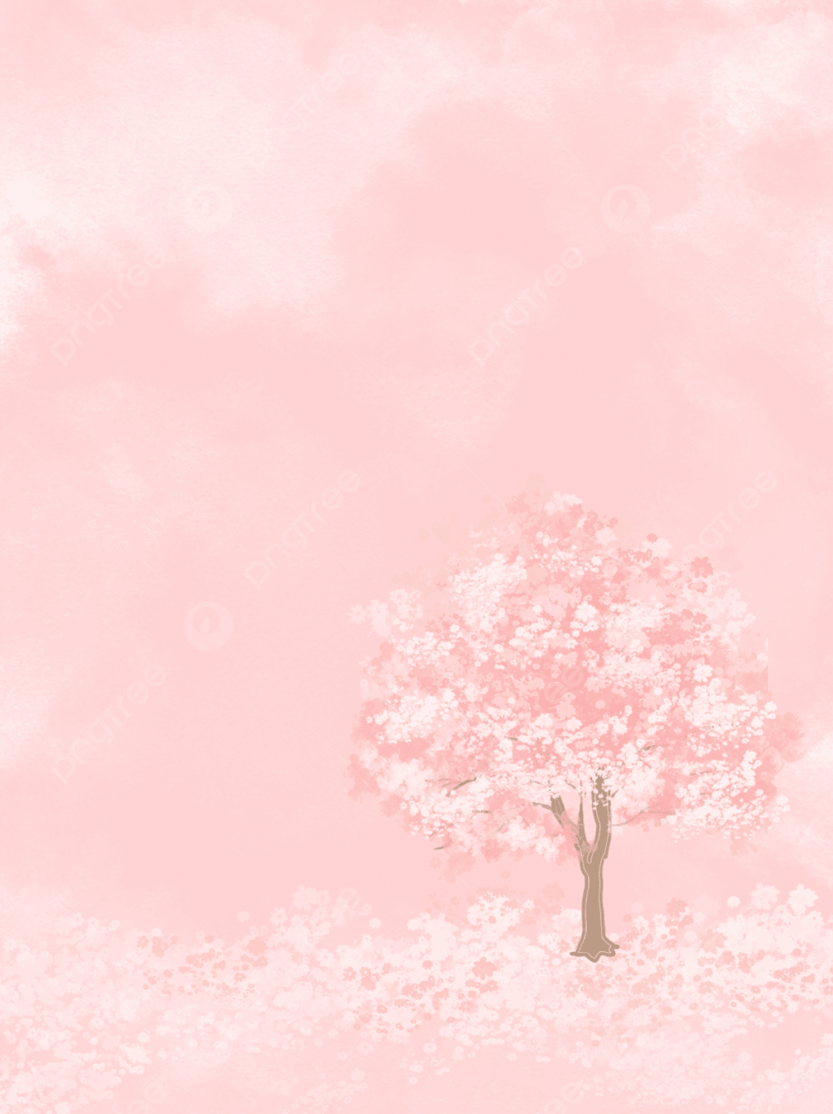 Aesthetic Cherry Blossom Background