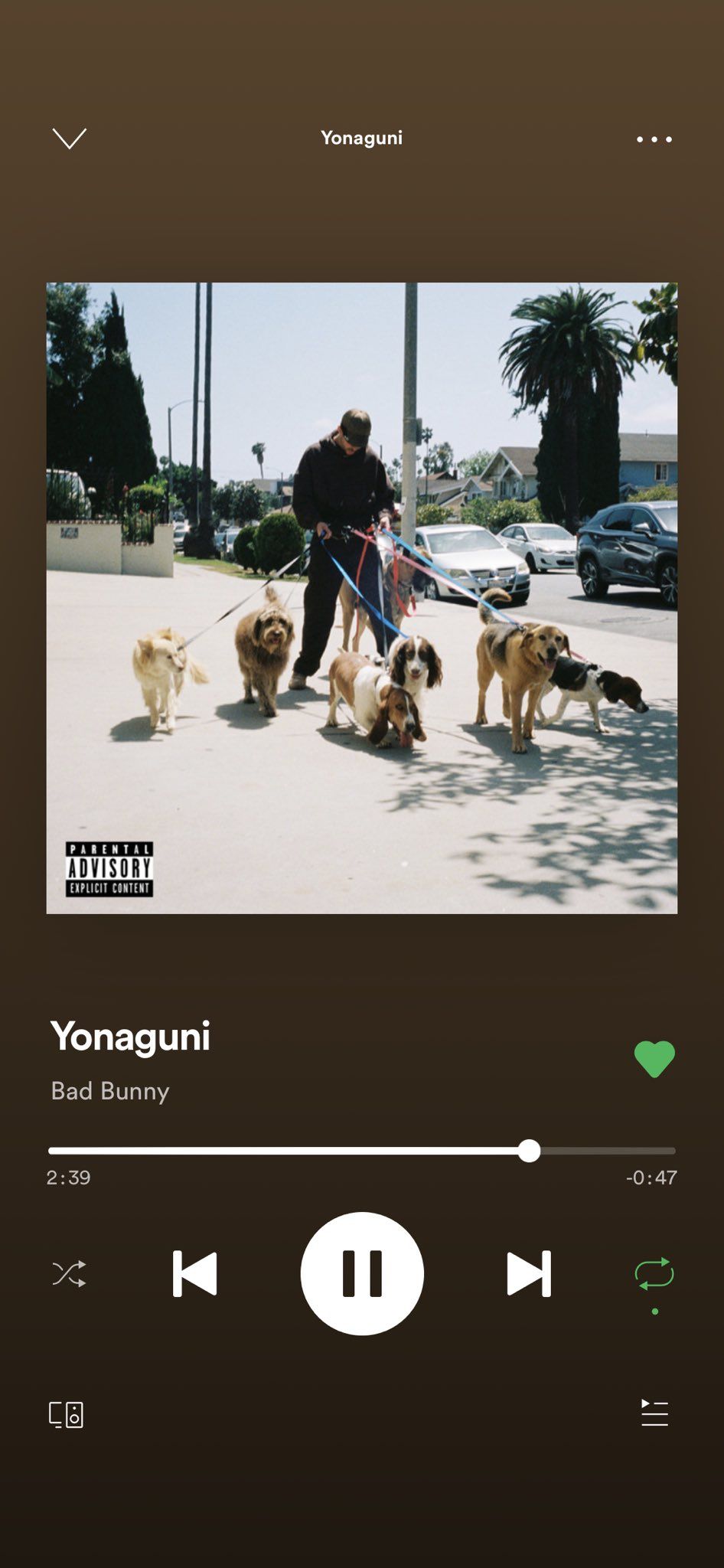 Yonaguni's album cover with a man walking 6 dogs - Bad Bunny