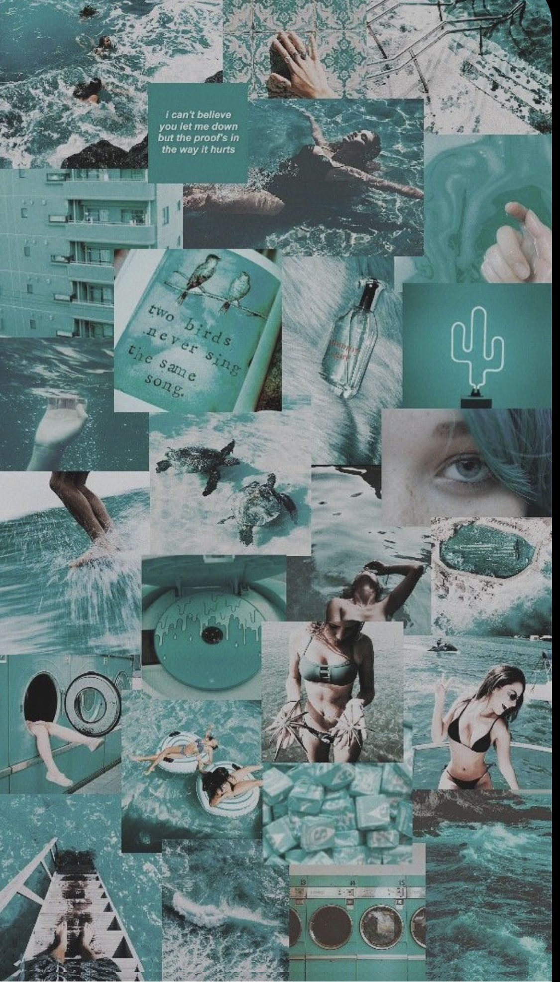 Aesthetically Teal