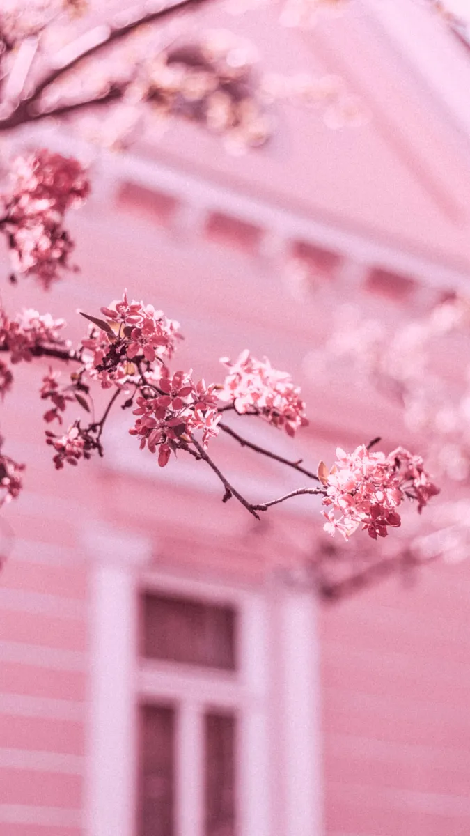 Amazing Aesthetic Pink Wallpaper