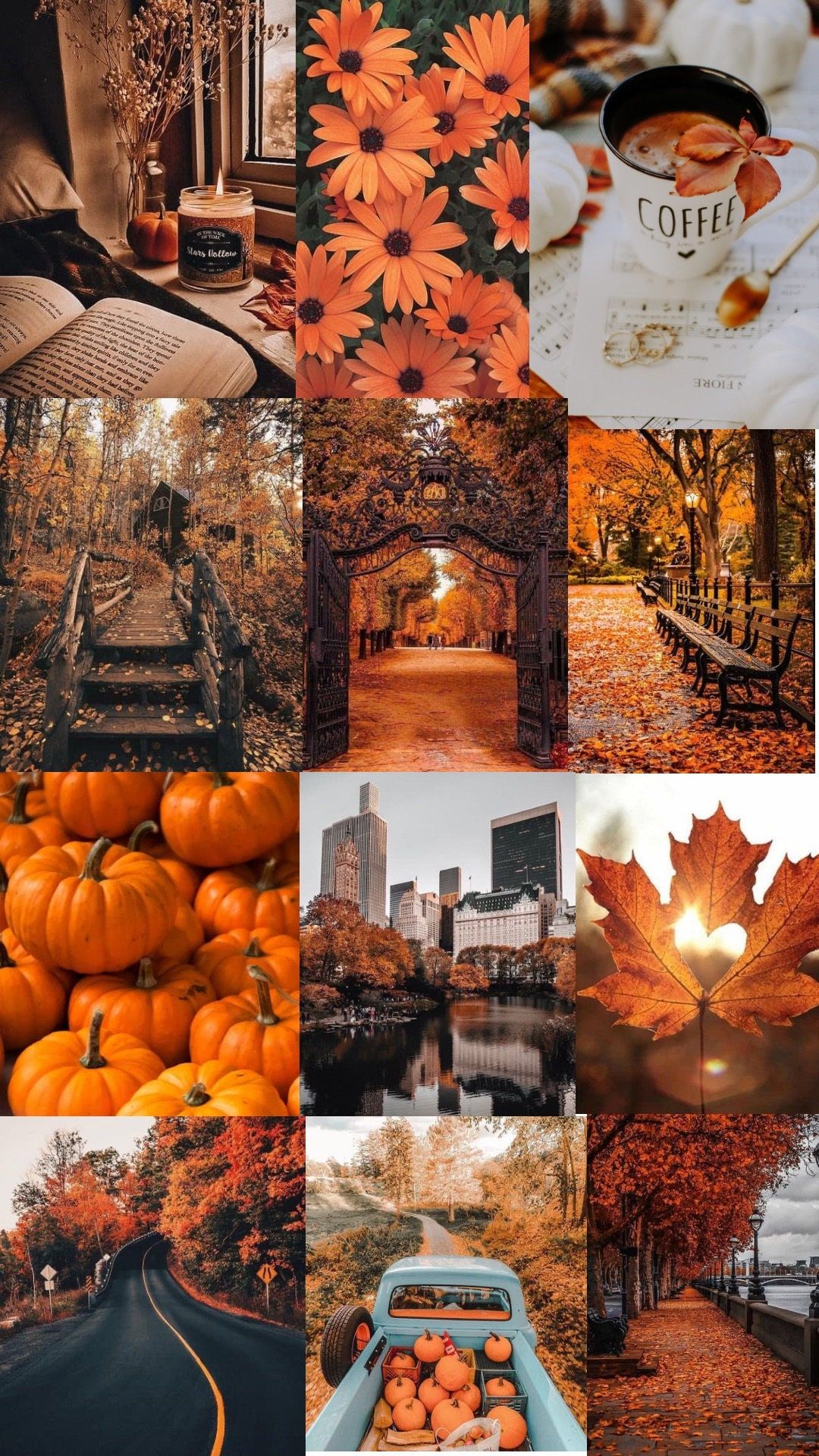 Wallpaper Fall