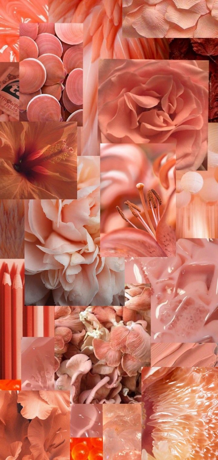 Salmon pink