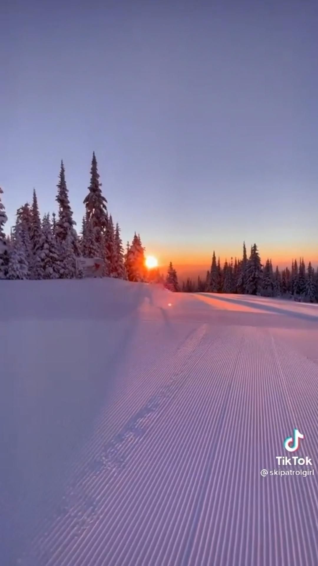 Winter Christmas Skiing ⛷️