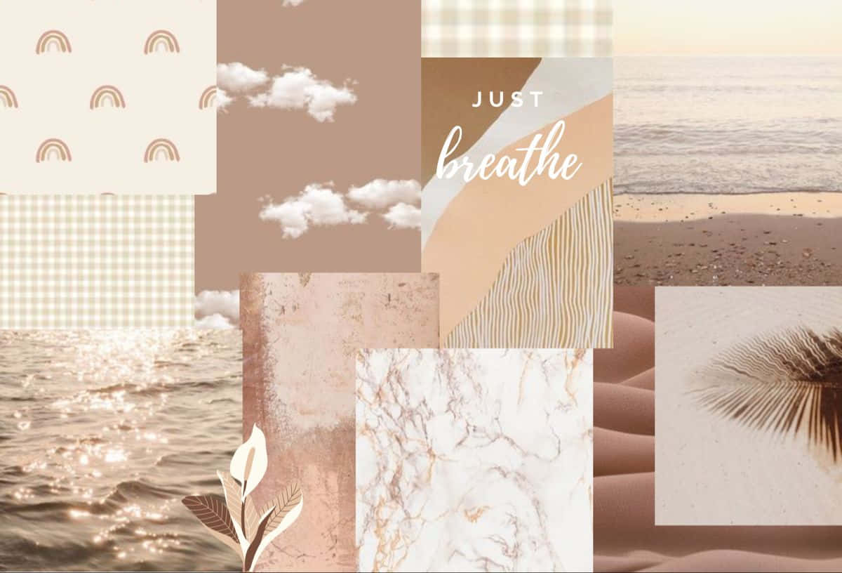 Download Soft neutral tones contrast