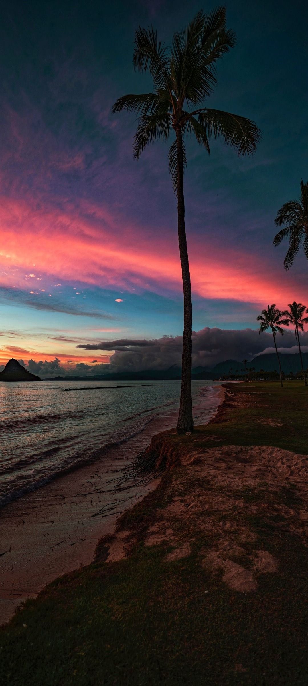 Wallpaper Loka Deep, Palm Trees, Water