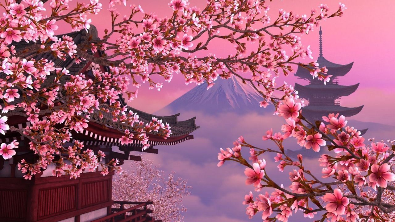 Cherry Blossoms Aesthetic Wallpaper