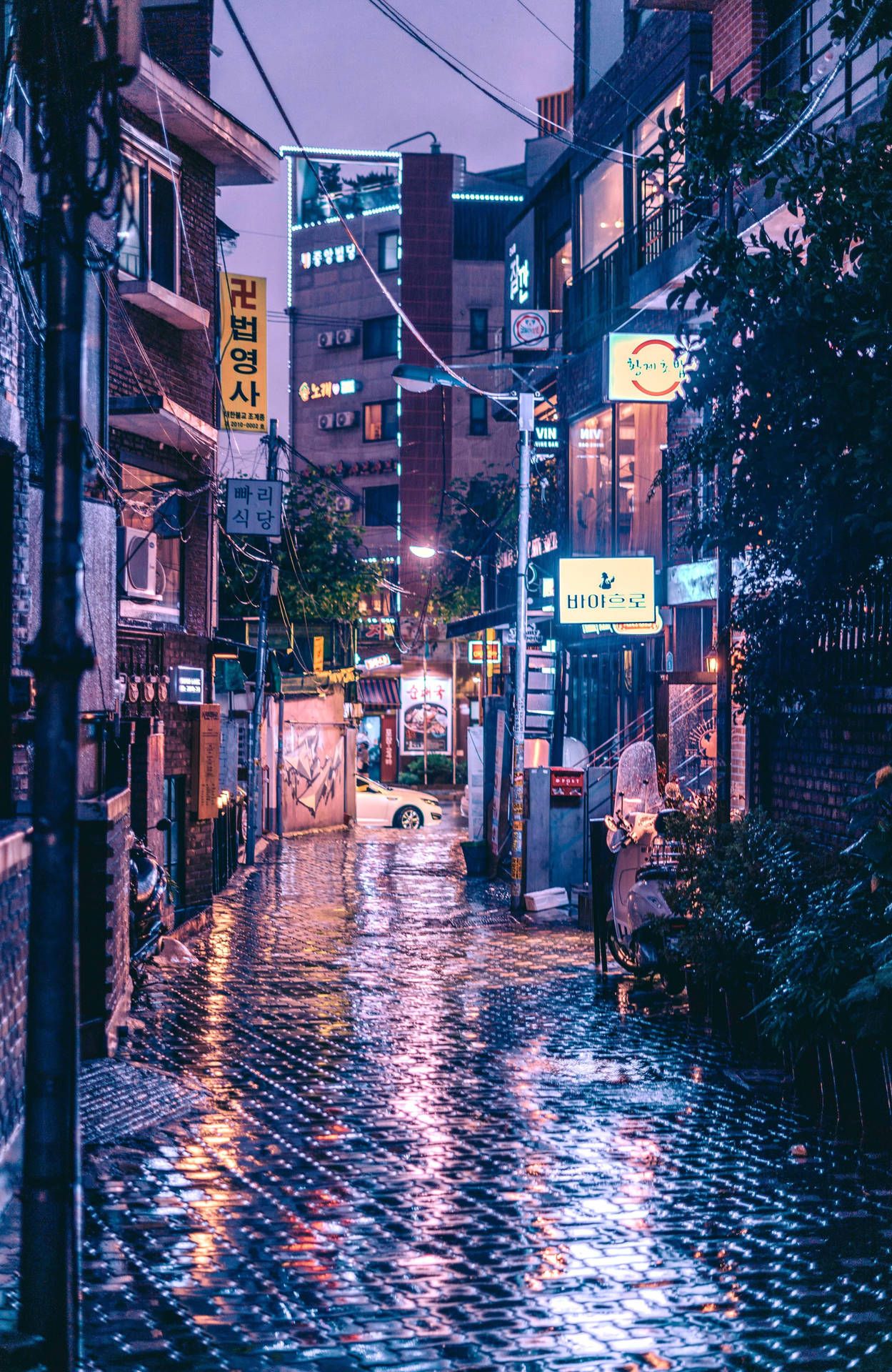 Korean Aesthetic in a Wet Street Scene