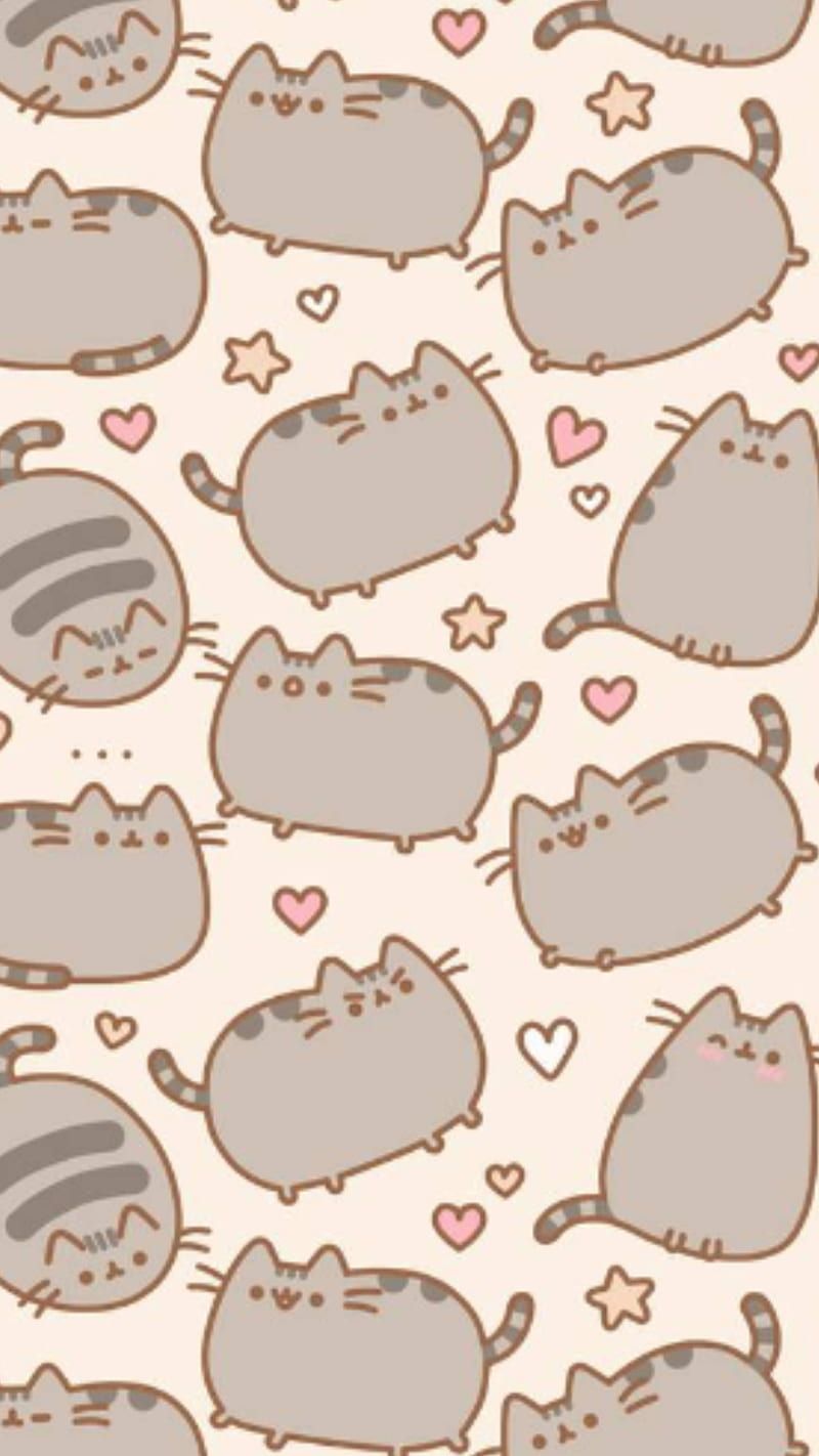 cute cat, cute cats, pusheen