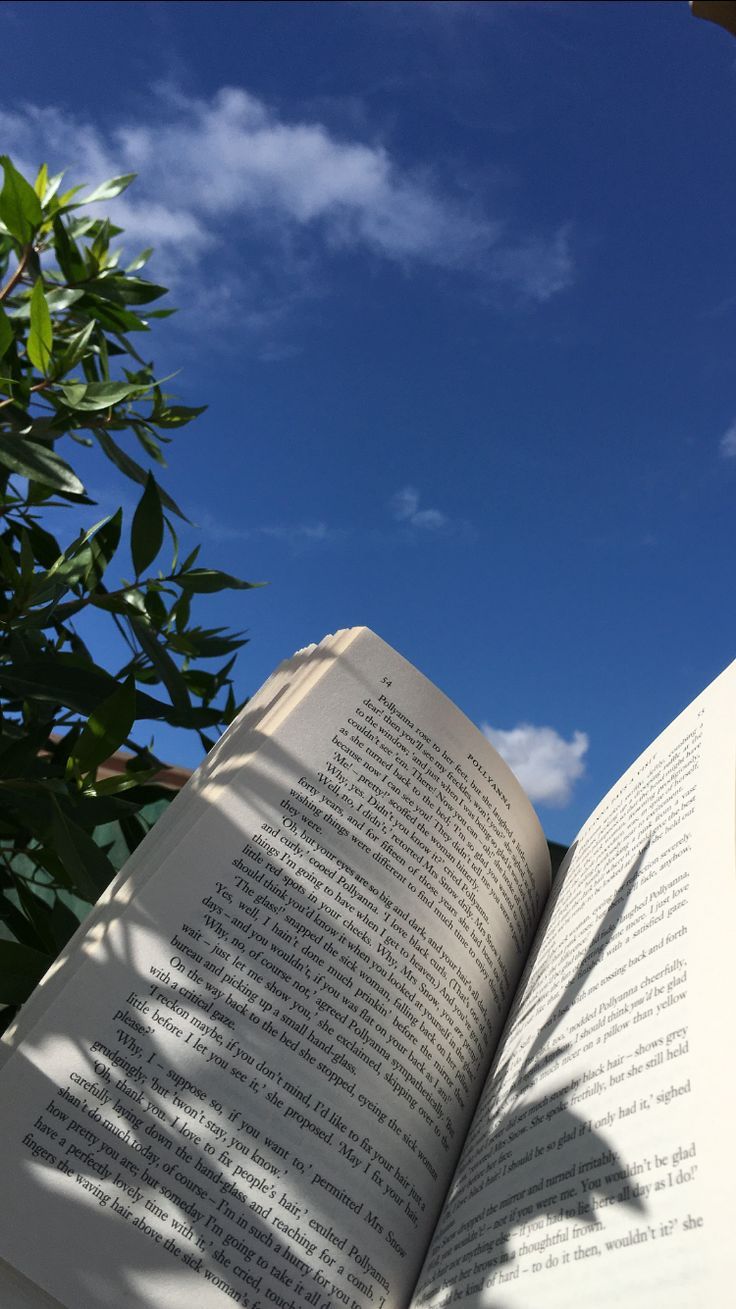 Book with a blue sky background - Books