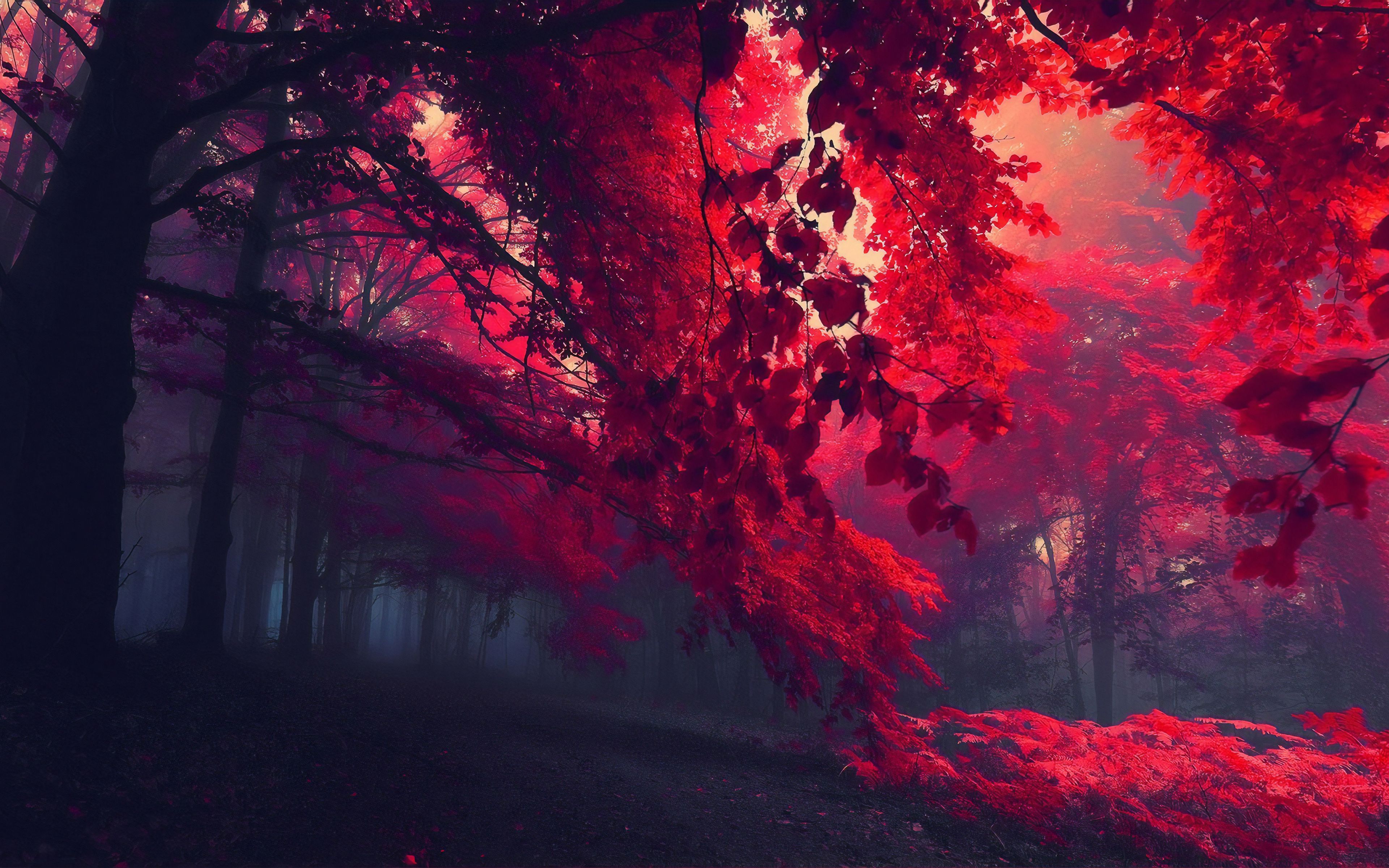 Red Aesthetic (1920x1080)