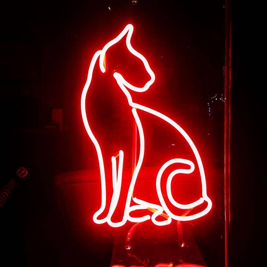 Download free Red Aesthetic Neon Cat