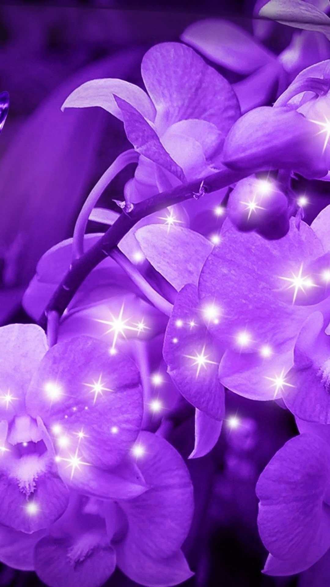 Purple orchid wallpaper hd - Flower, beautiful