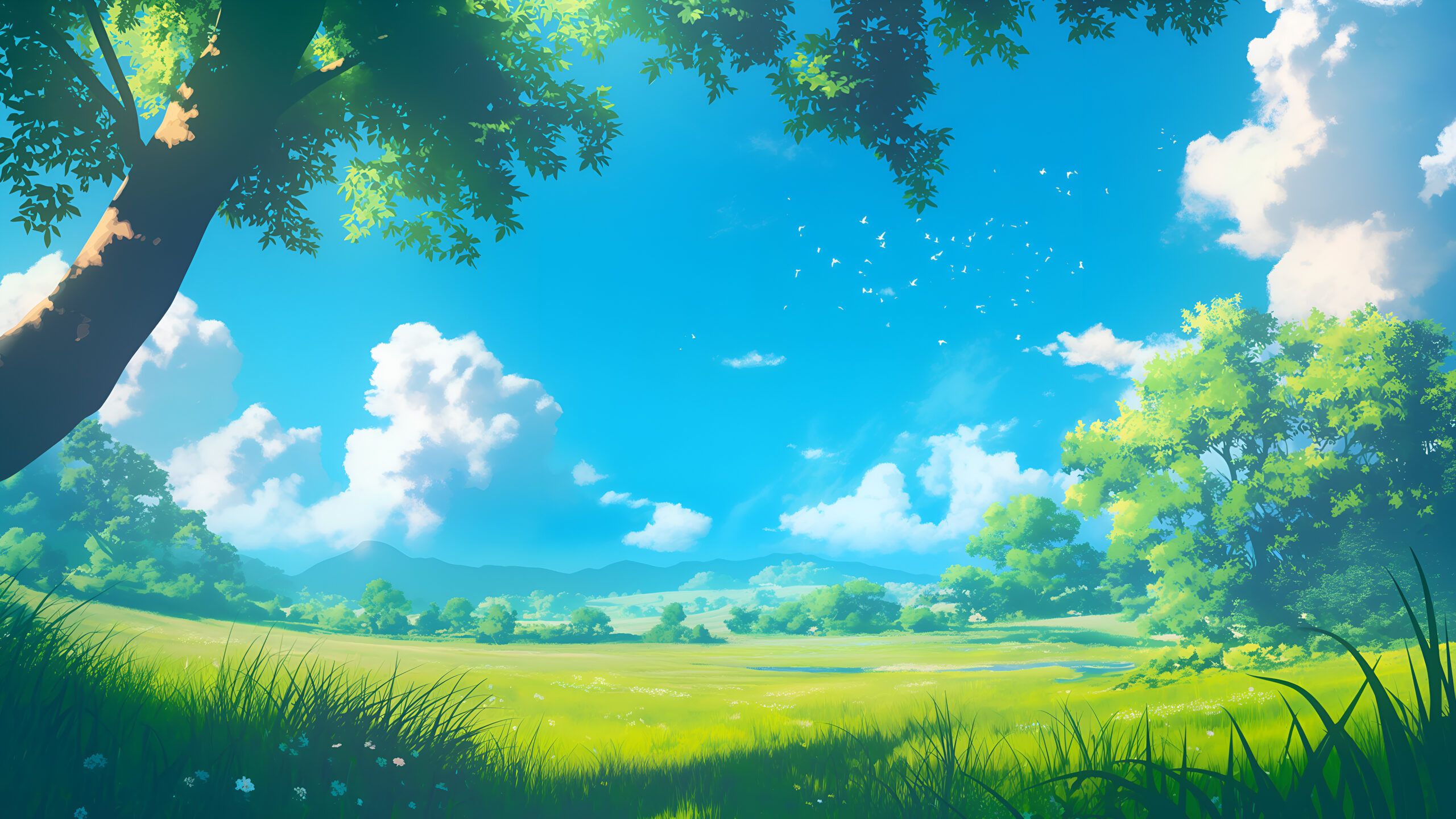 Aesthetic Sunny Meadow Desktop