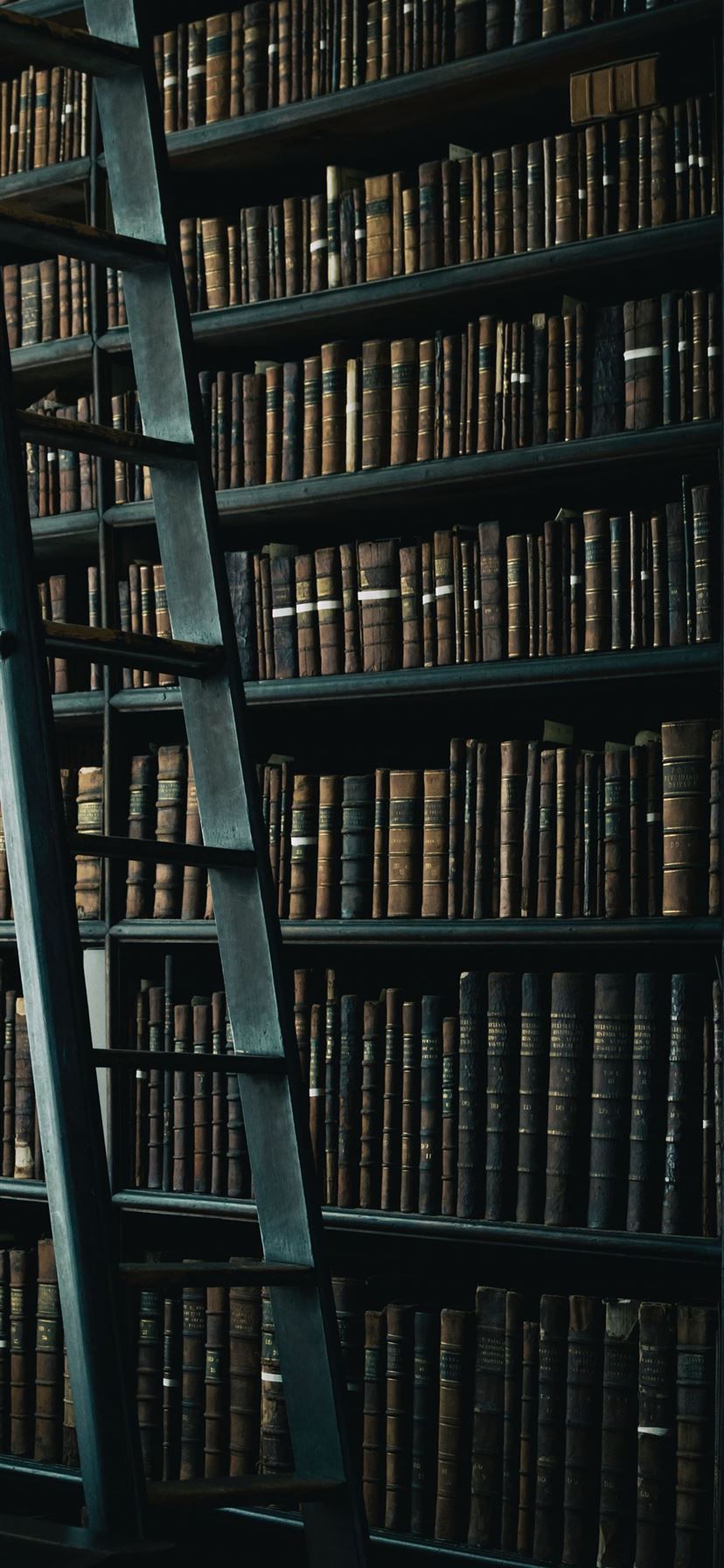 A ladder leaning against a bookshelf full of books - Books