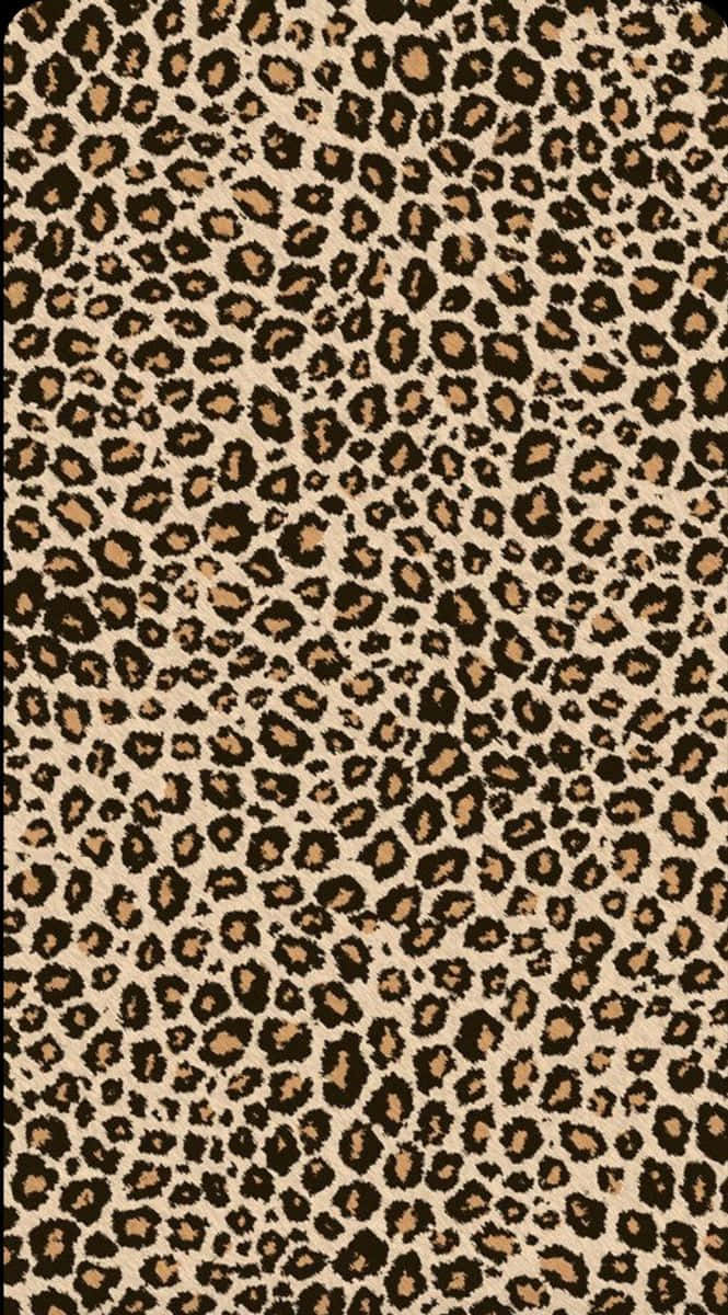 Leopard Aesthetic Wallpaper