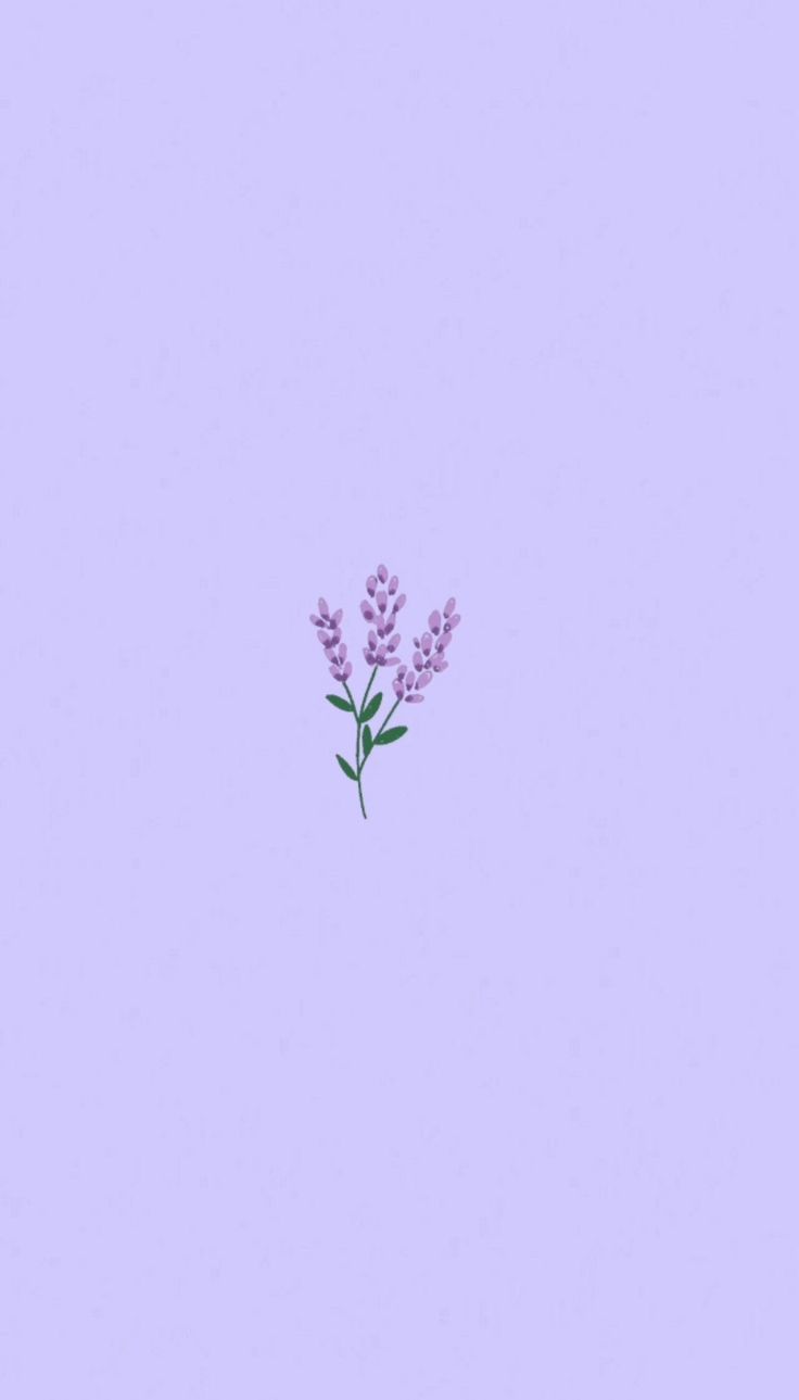 Light purple wallpaper, Purple flowers