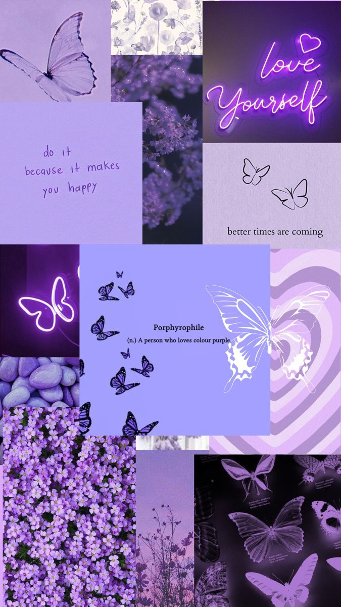 Purple butterfly aesthetic wallpaper