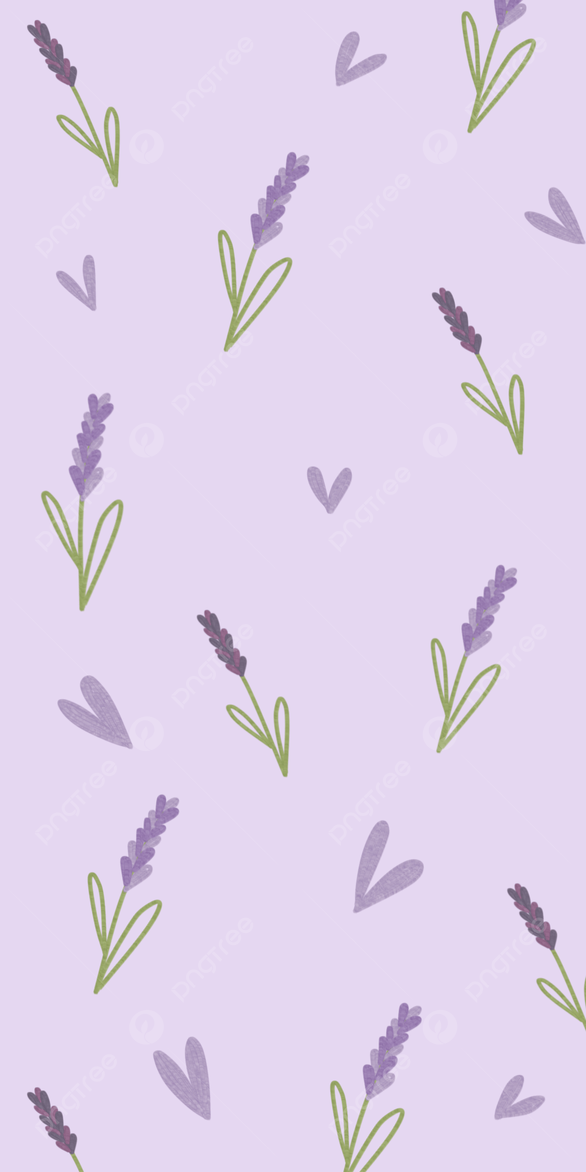 Lavender Wallpaper Background