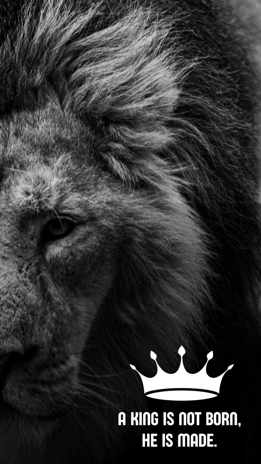 customizable wallpaper lion