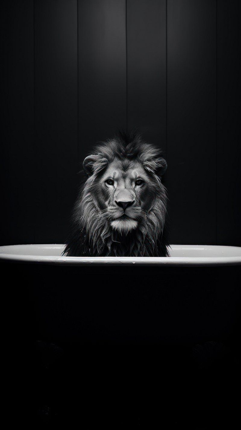 Lion Wallpaper Image. Free Photo