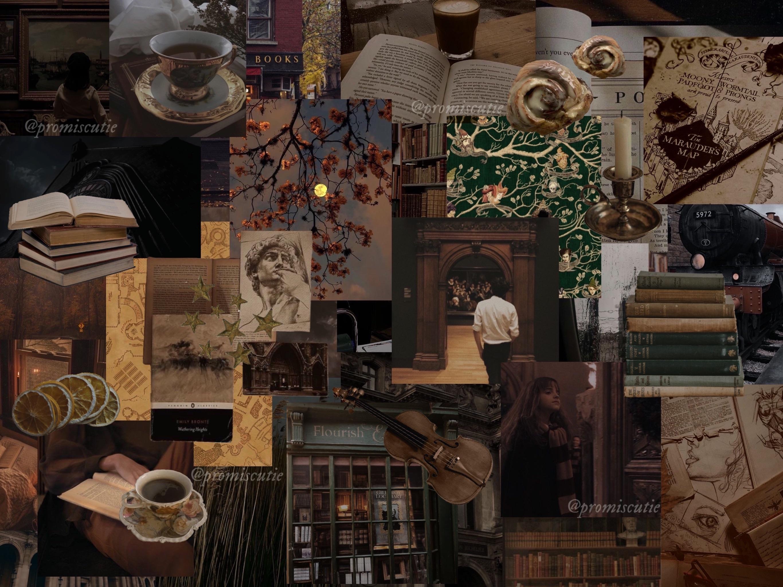 Dark Academia Library Picture By Twistedlemonfreak