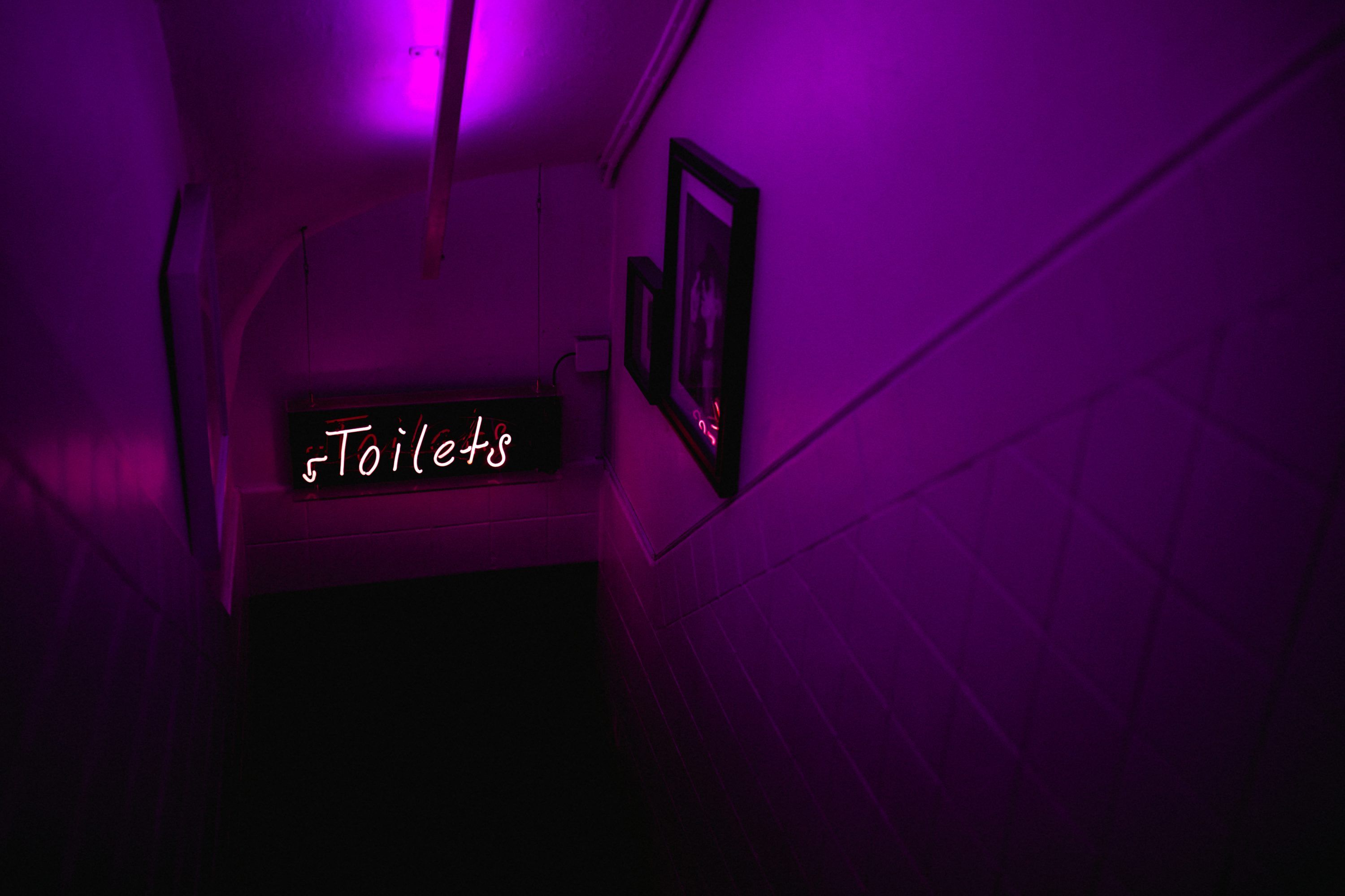 Neon Purple Picture. Download