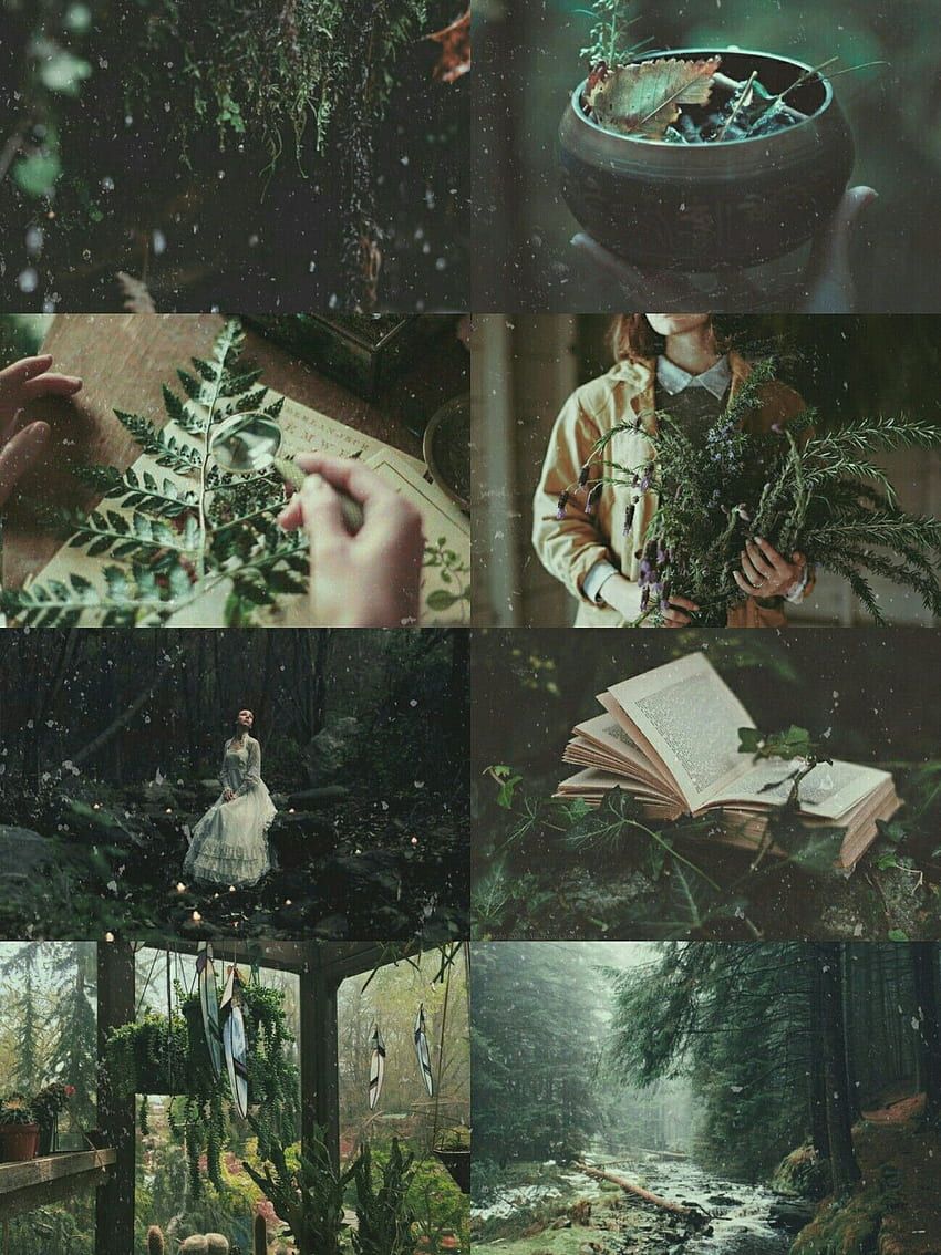 Witch Aesthetic, Green Witch Aesthetic