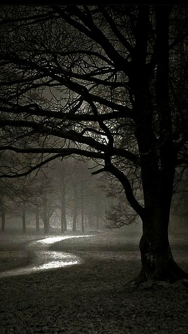 Dark Nature, dark nature, black, tree