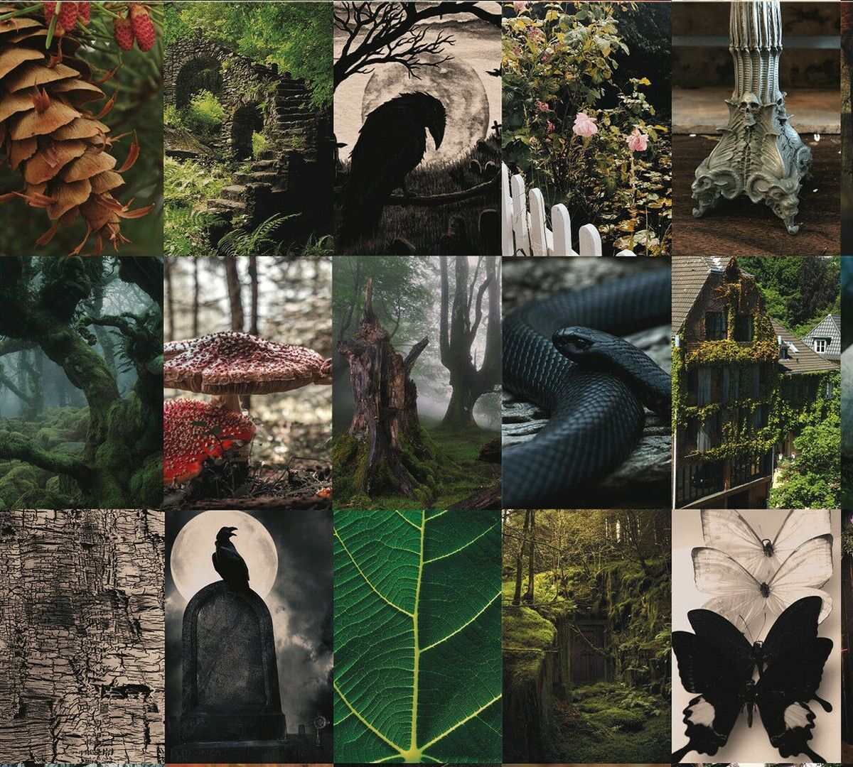 Goblincore wall collage kit 100 photo