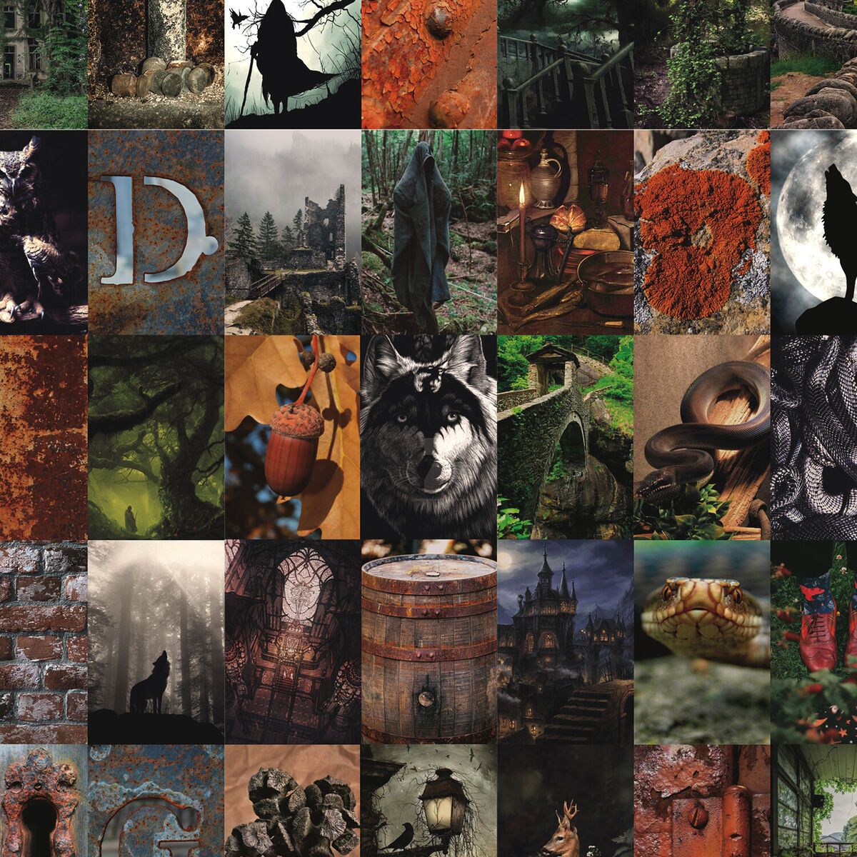 Goblincore wall collage kit 100 photo