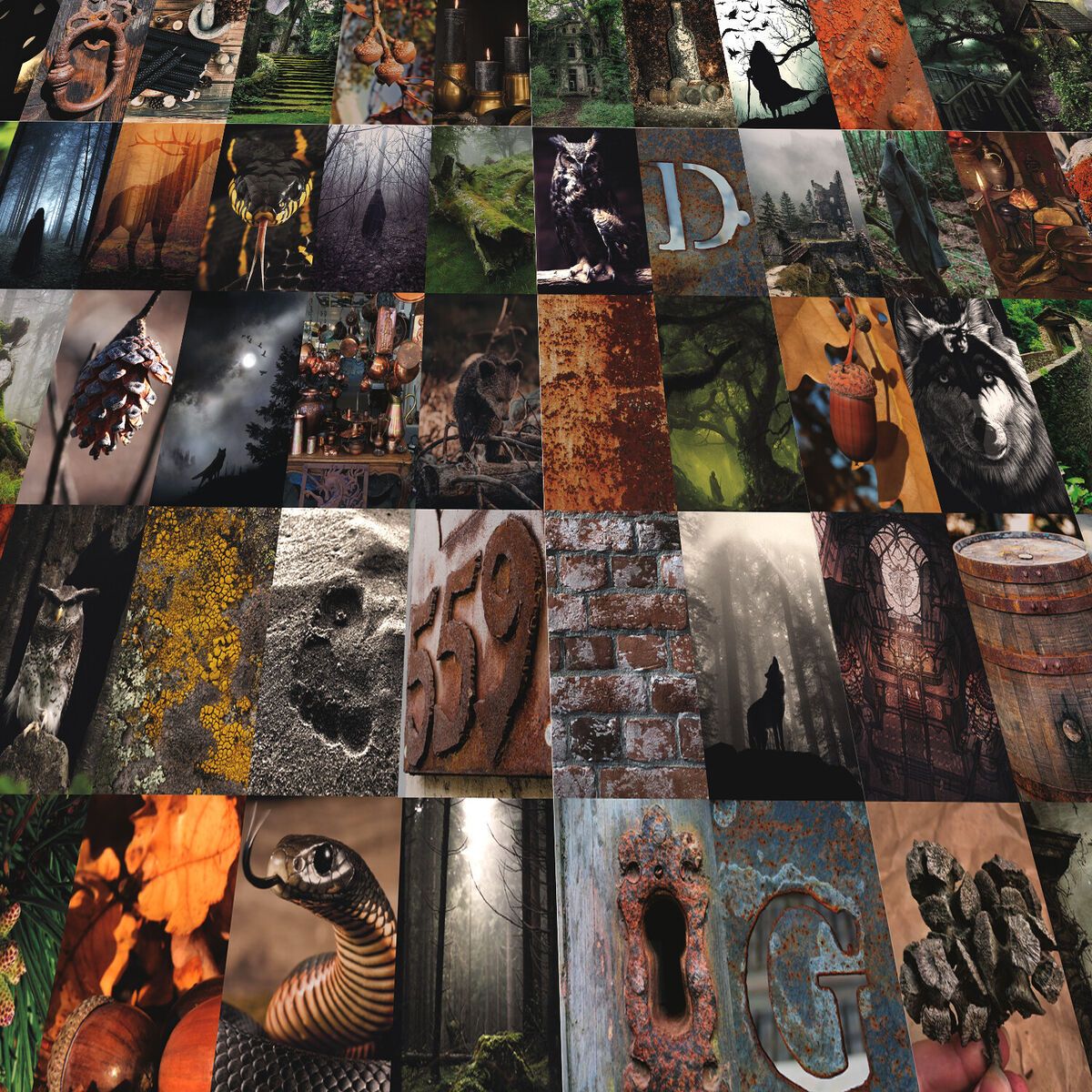 Goblincore wall collage kit 100 photo