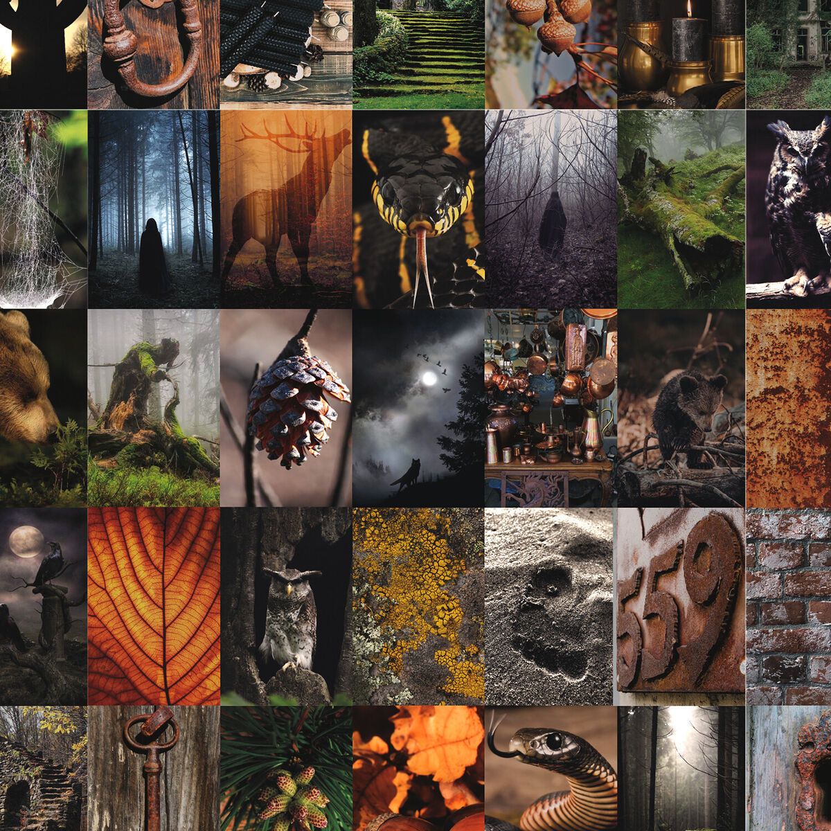 Goblincore wall collage kit 100 photo