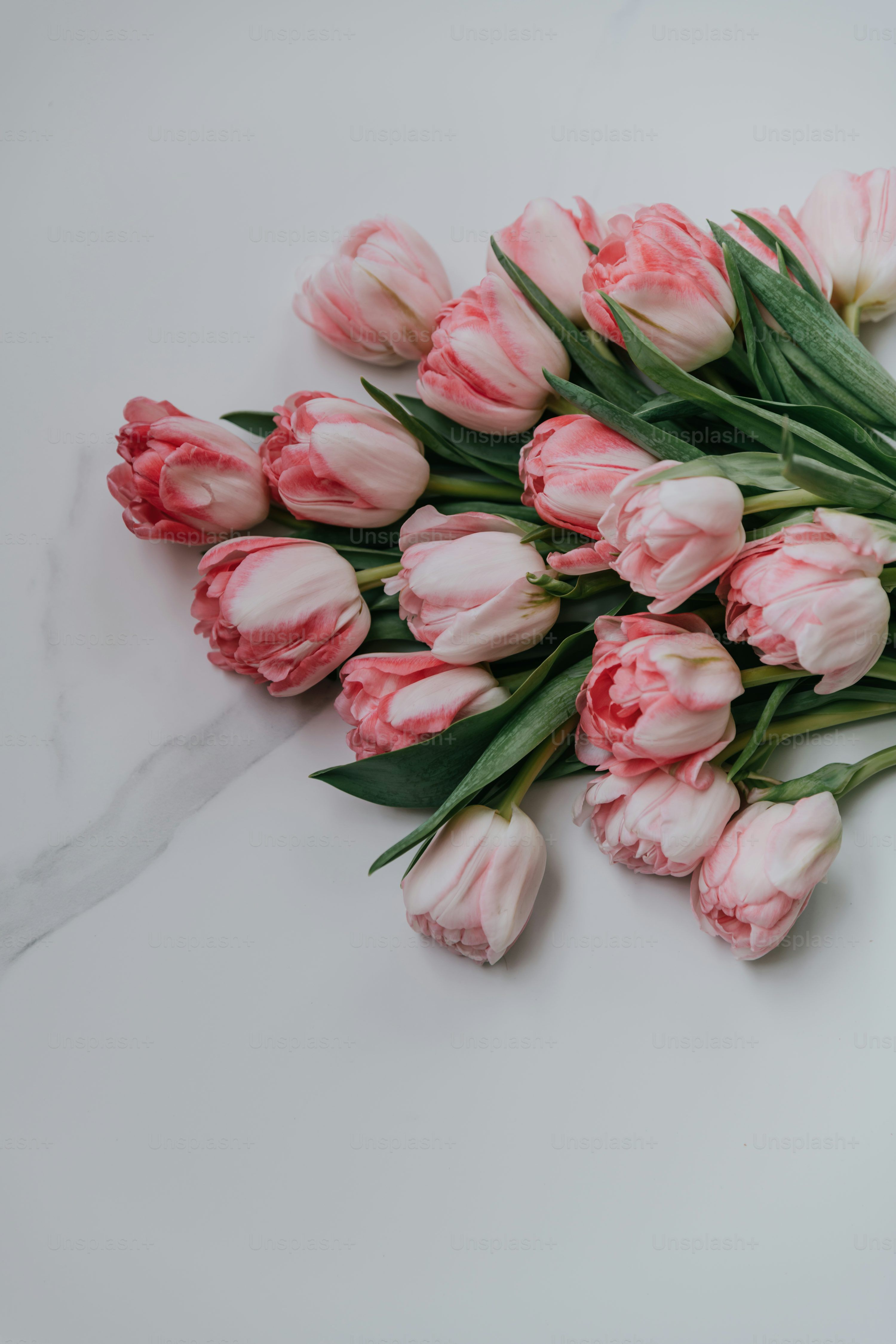 Tulips Bouquet Picture. Download Free