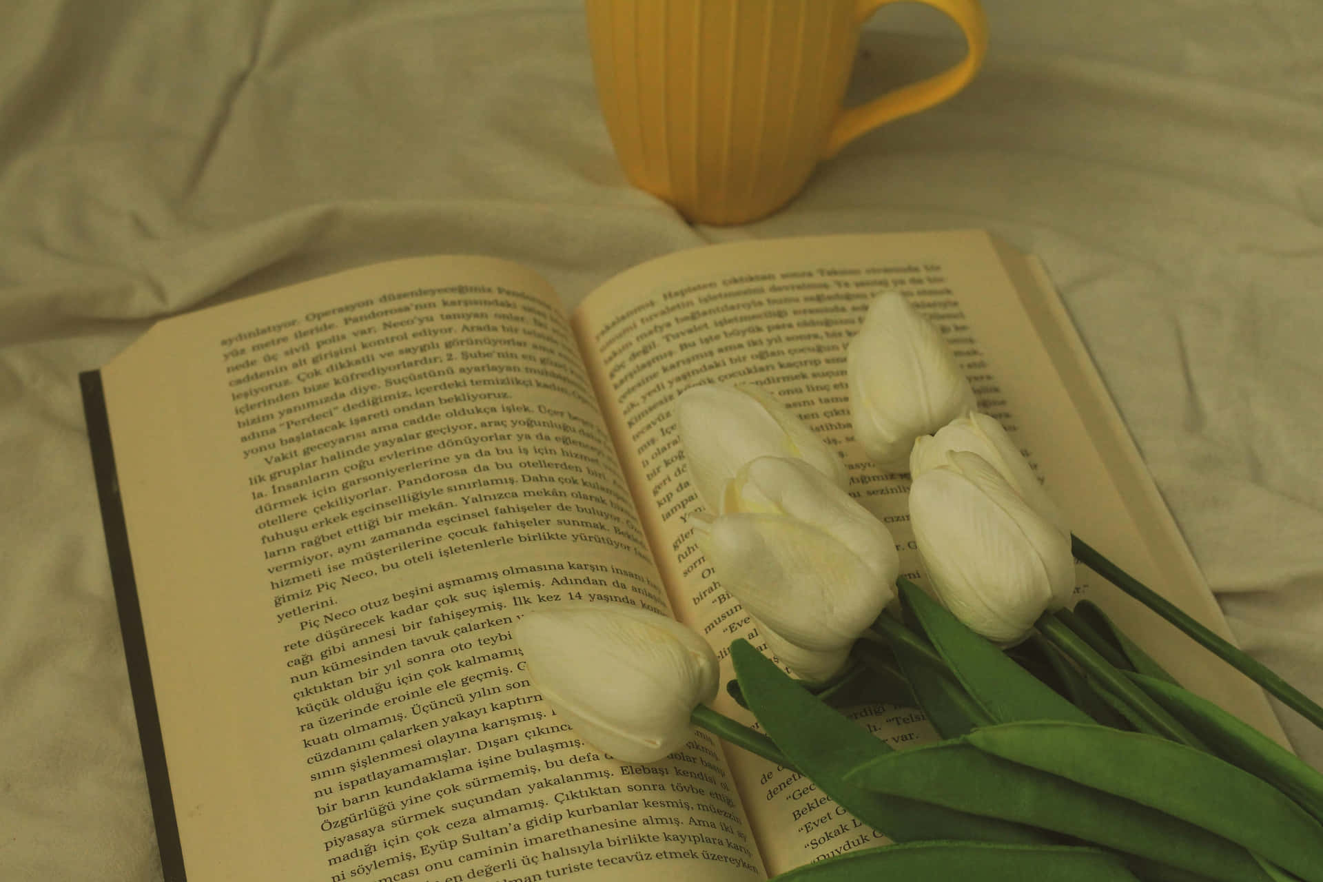 White Tulips Aesthetic Wallpaper