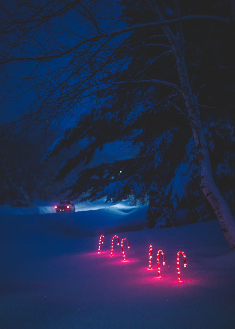 Lighted candy cane and surrounded