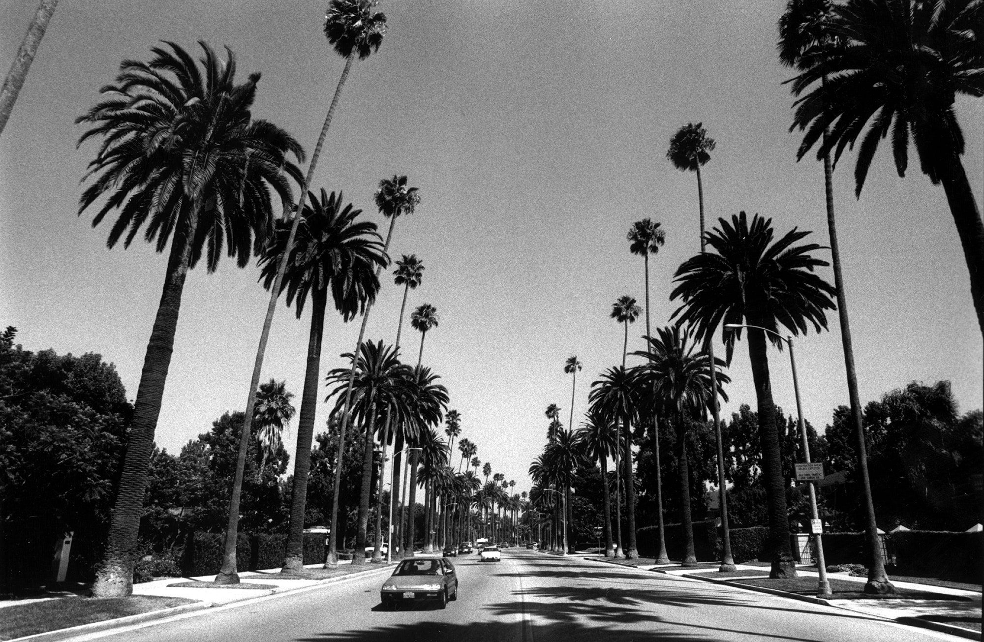 City Walking Tour of Los Angeles