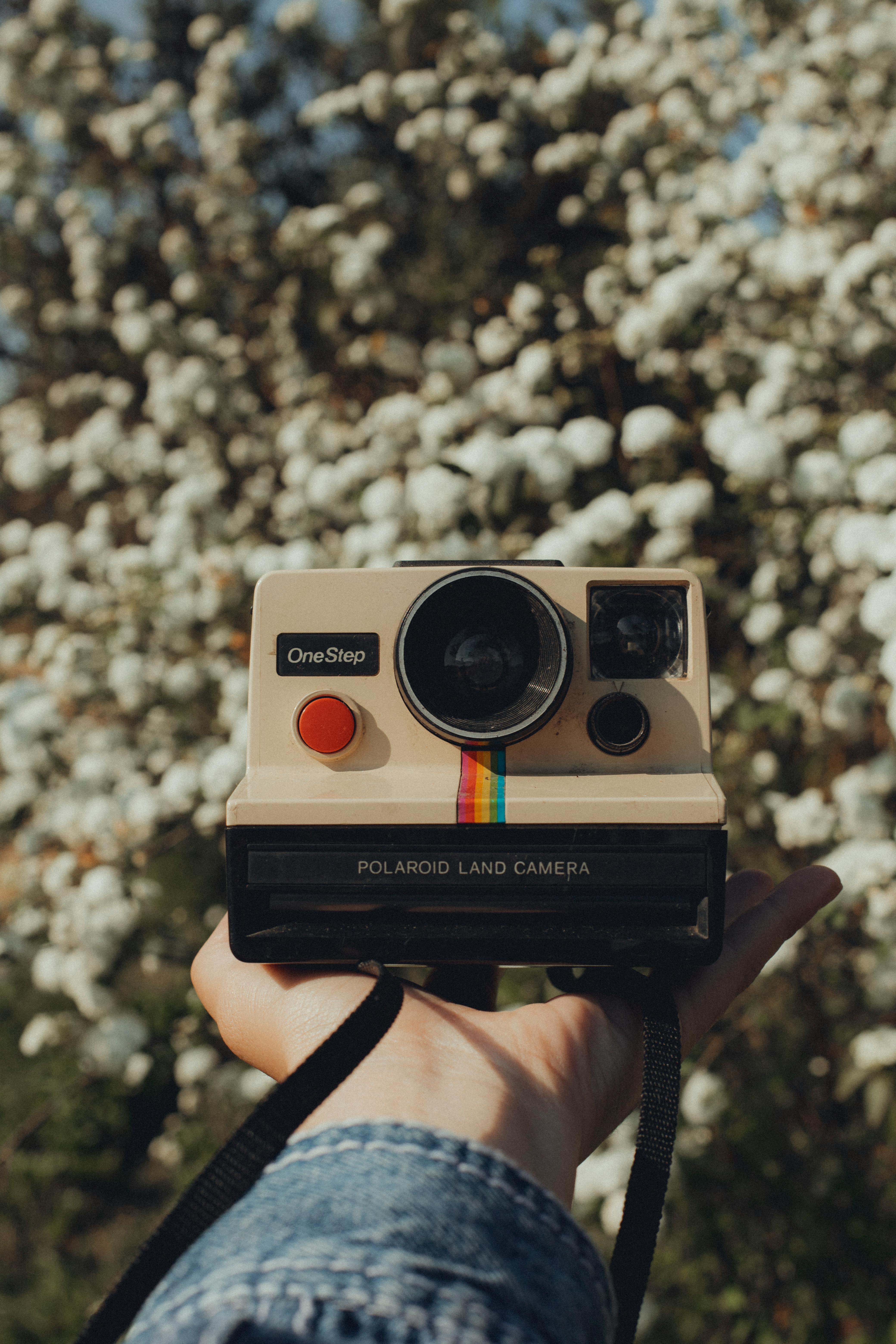 Hand Holding Polaroid Camera · Free