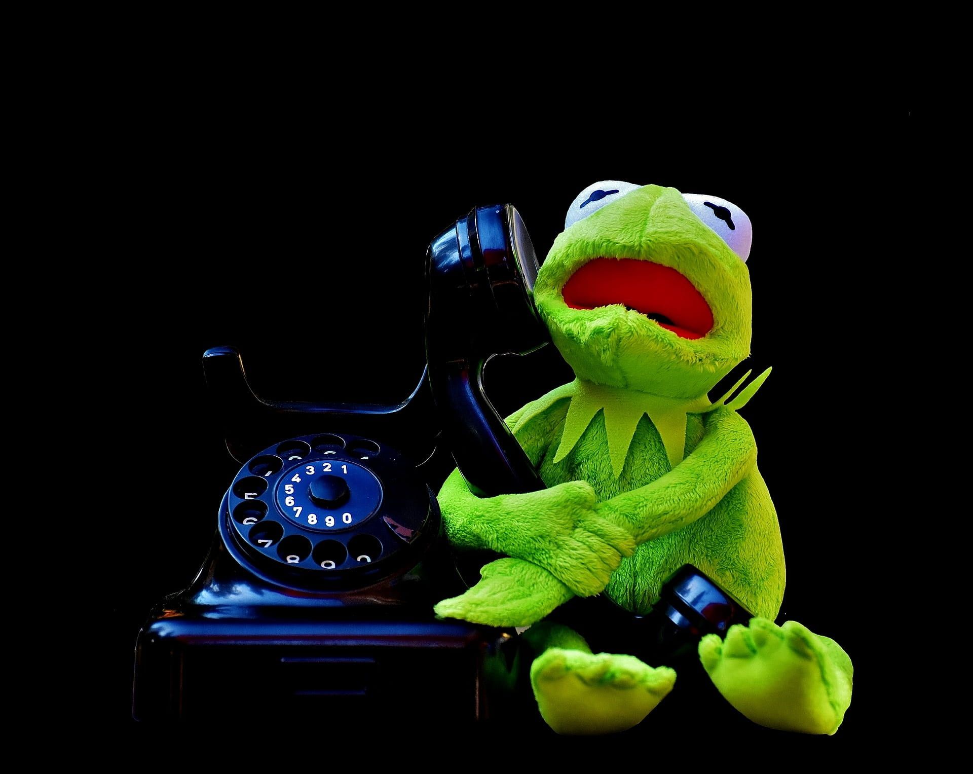 the Frog holding rotary telephone