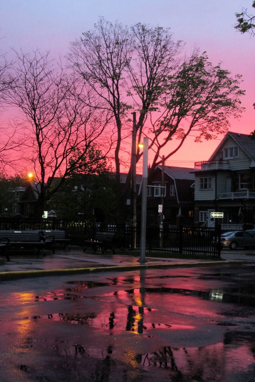 A pink and purple sky reflects off of a wet street. - Rain