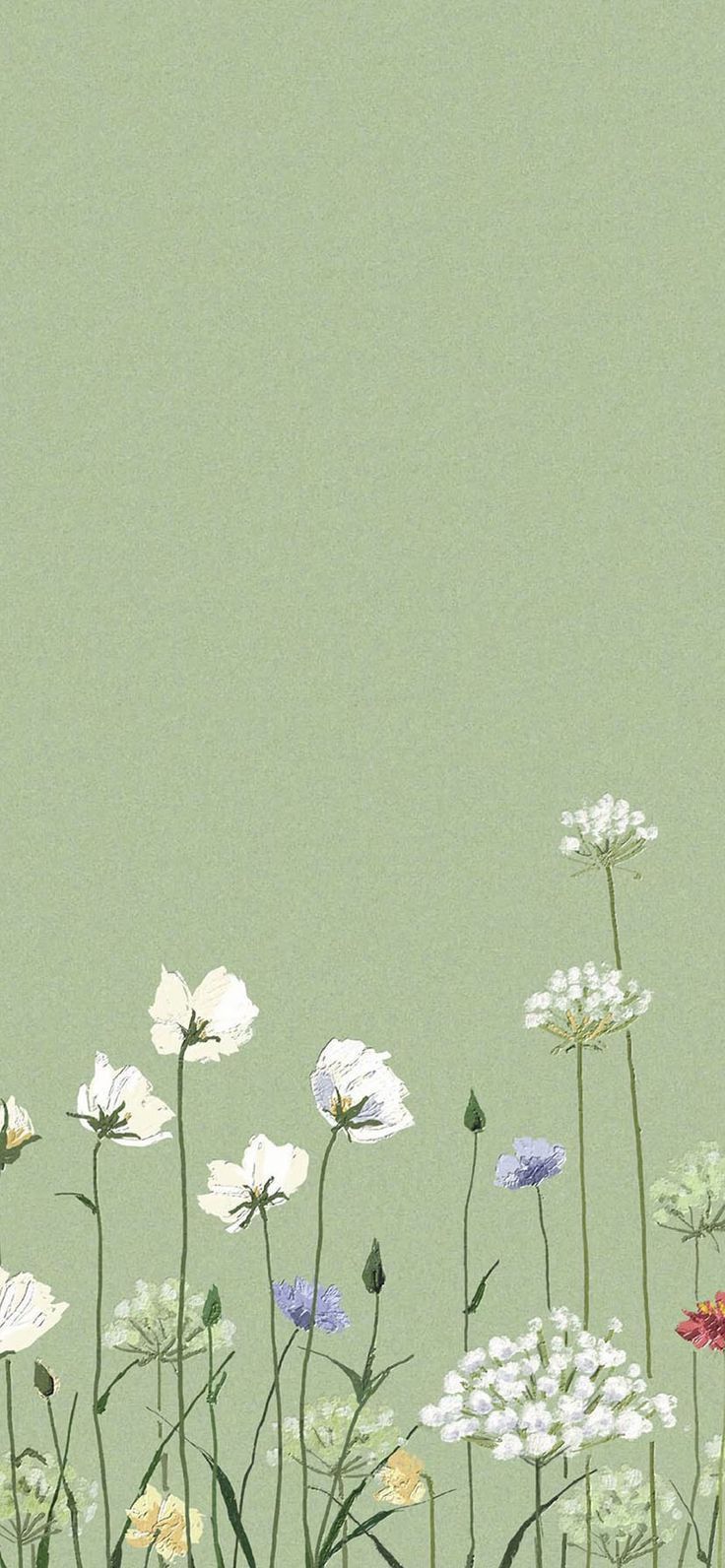 android and ios flower green wallpaper