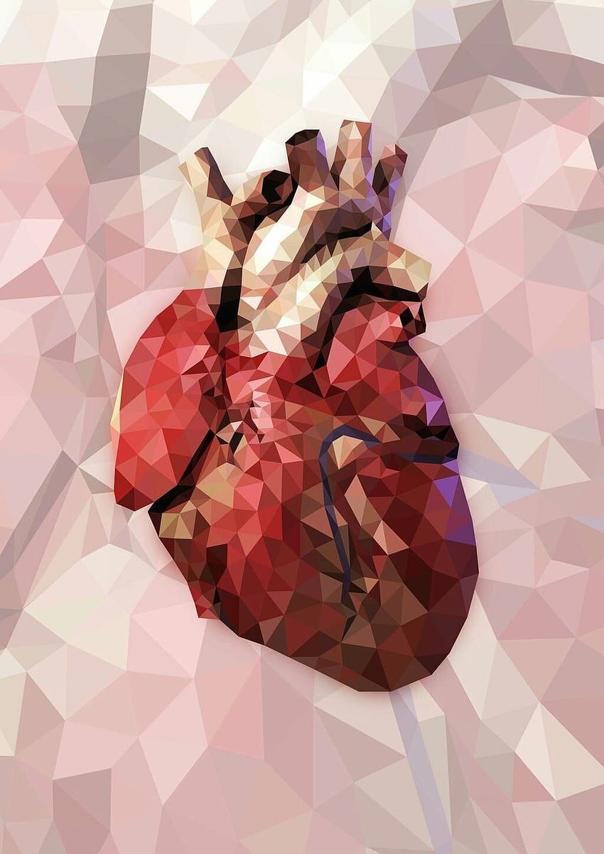 Human Heart HD phone wallpaper