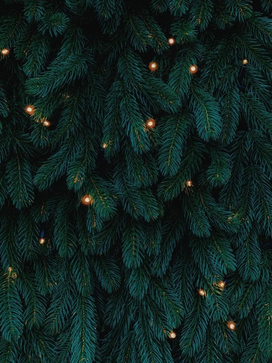 Aesthetic Christmas iPhone Wallpaper