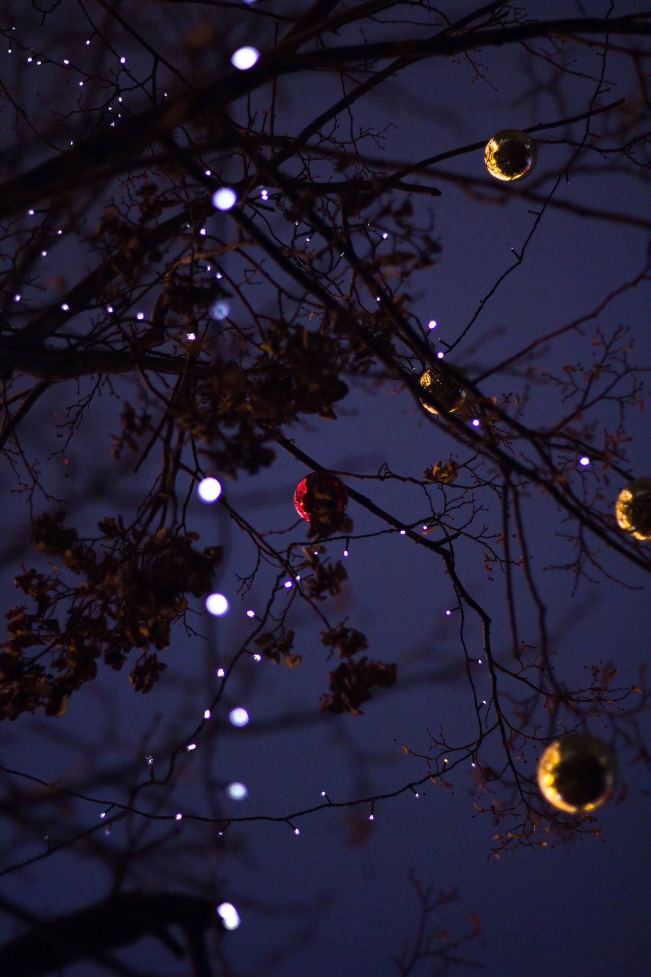 Festive Christmas Lights Trailing On